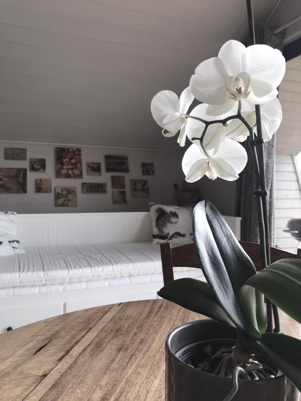 Domaine La Bonne Etoile 3* Beausemblant